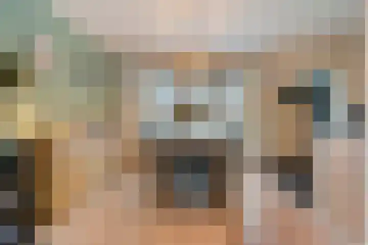 De Meerkoet 2 Dedemsvaart thumbnail 15