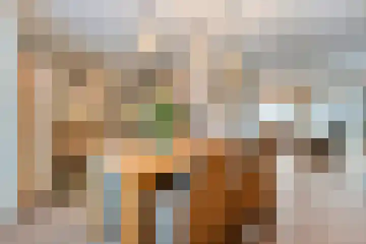 De Meerkoet 2 Dedemsvaart thumbnail 16