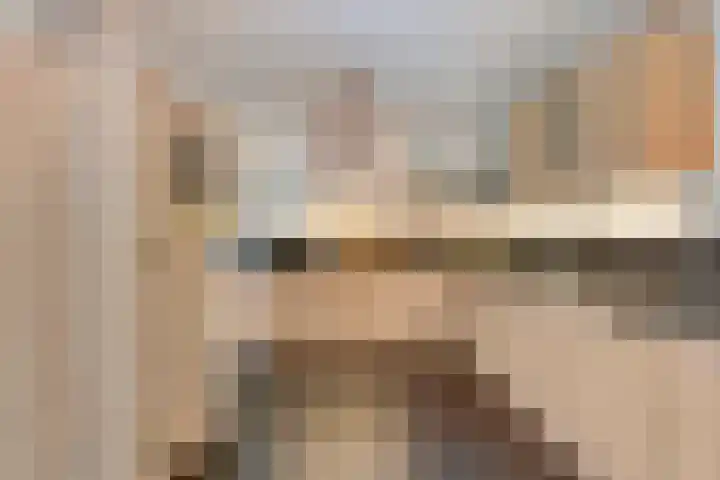 De Meerkoet 2 Dedemsvaart thumbnail 17