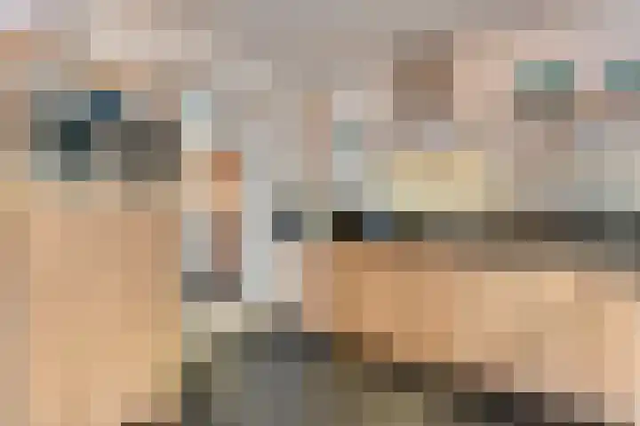 De Meerkoet 2 Dedemsvaart thumbnail 18