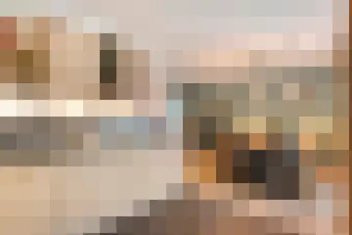 De Meerkoet 2 Dedemsvaart thumbnail 19