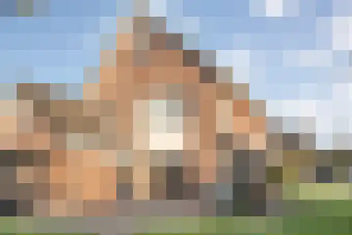 De Meerkoet 2 Dedemsvaart foto 2