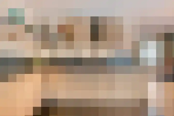 De Meerkoet 2 Dedemsvaart thumbnail 20