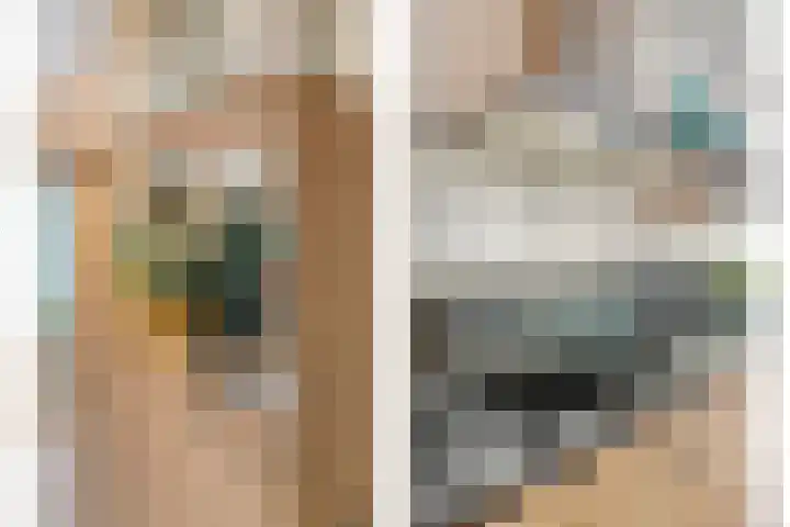 De Meerkoet 2 Dedemsvaart thumbnail 21