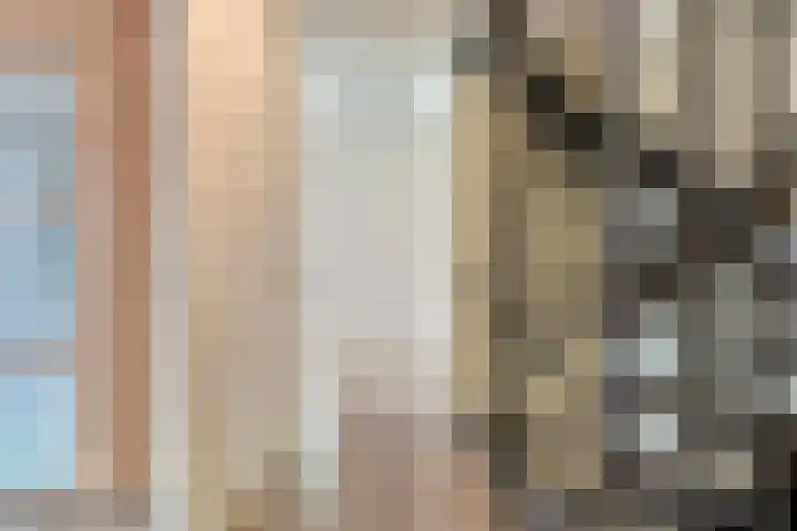 De Meerkoet 2 Dedemsvaart thumbnail 27