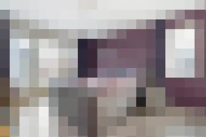 De Meerkoet 2 Dedemsvaart thumbnail 28
