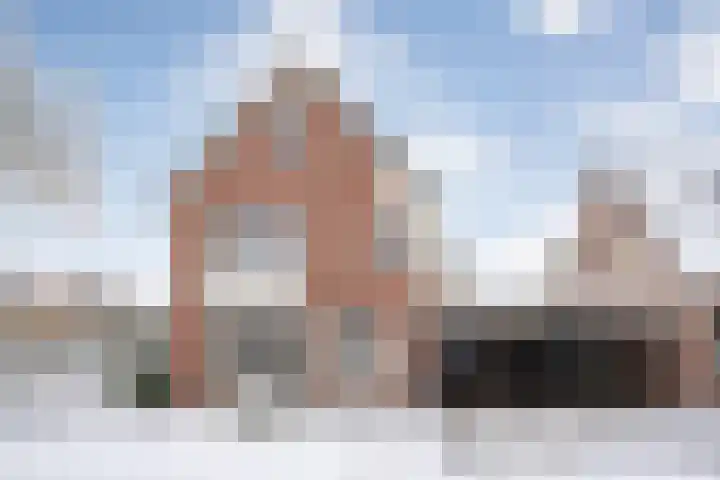 De Meerkoet 2 Dedemsvaart foto 3