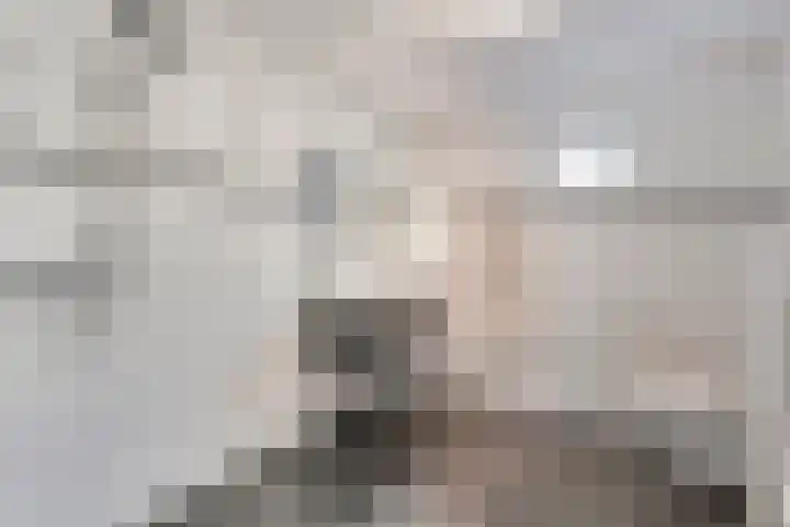 De Meerkoet 2 Dedemsvaart thumbnail 32