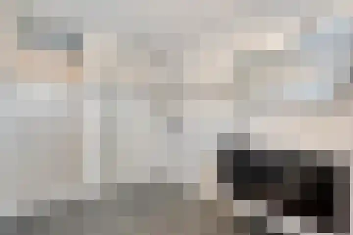 De Meerkoet 2 Dedemsvaart thumbnail 33