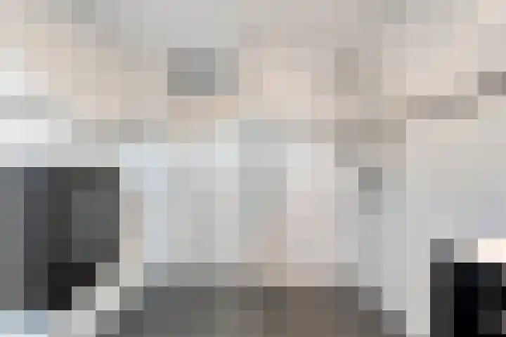 De Meerkoet 2 Dedemsvaart thumbnail 34