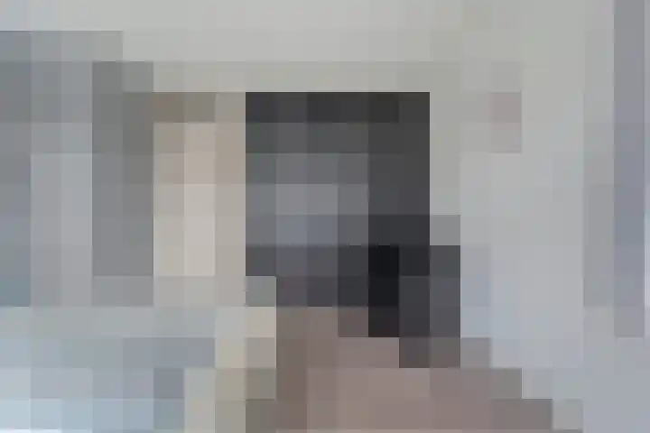 De Meerkoet 2 Dedemsvaart thumbnail 35