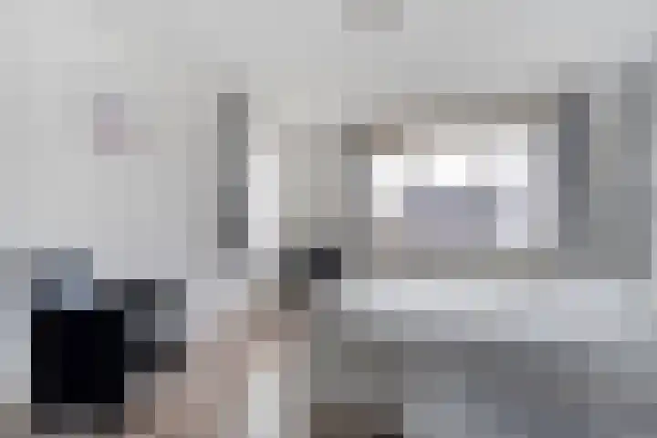 De Meerkoet 2 Dedemsvaart thumbnail 36