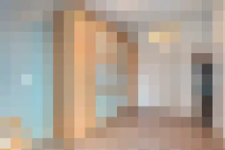 De Meerkoet 2 Dedemsvaart thumbnail 38