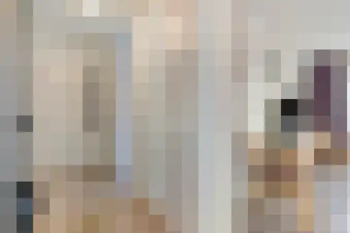 De Meerkoet 2 Dedemsvaart thumbnail 39