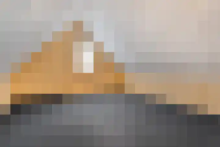 De Meerkoet 2 Dedemsvaart thumbnail 40