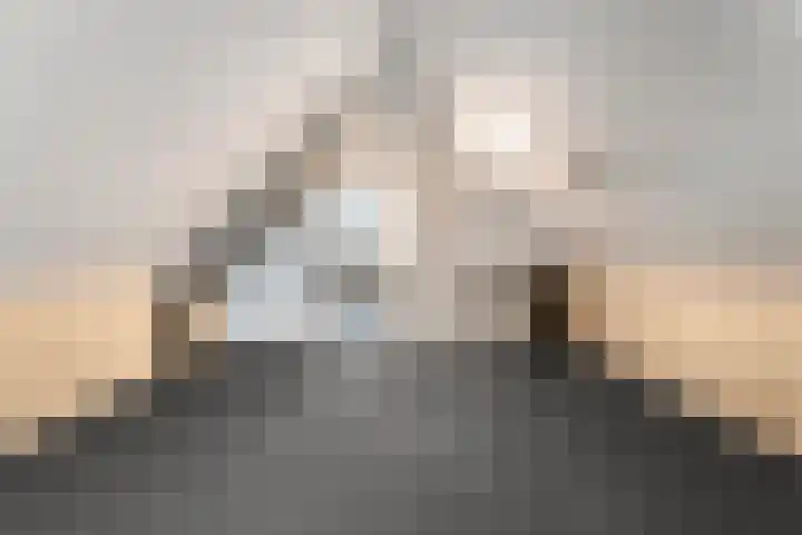 De Meerkoet 2 Dedemsvaart thumbnail 41