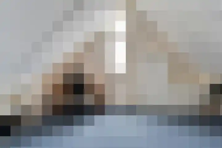 De Meerkoet 2 Dedemsvaart thumbnail 42