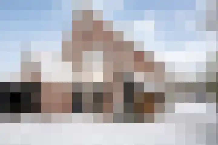 De Meerkoet 2 Dedemsvaart thumbnail 45