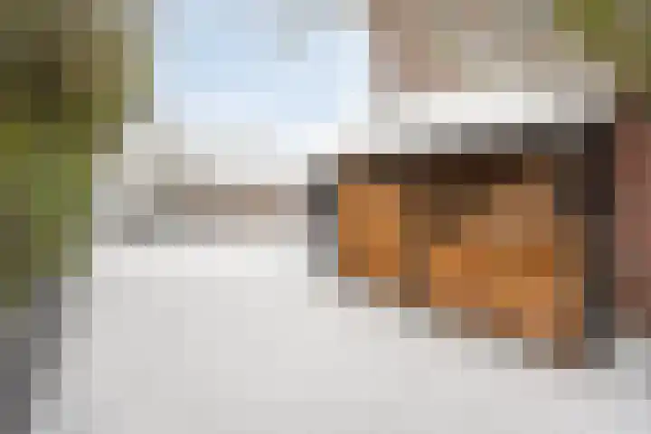 De Meerkoet 2 Dedemsvaart thumbnail 47