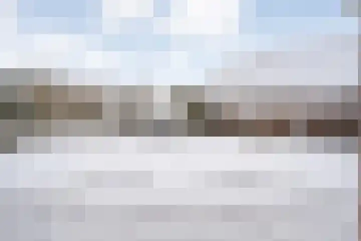 De Meerkoet 2 Dedemsvaart thumbnail 48
