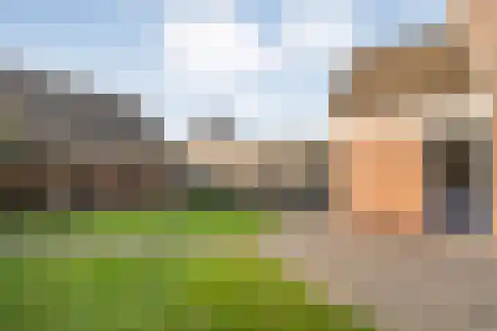 De Meerkoet 2 Dedemsvaart thumbnail 49