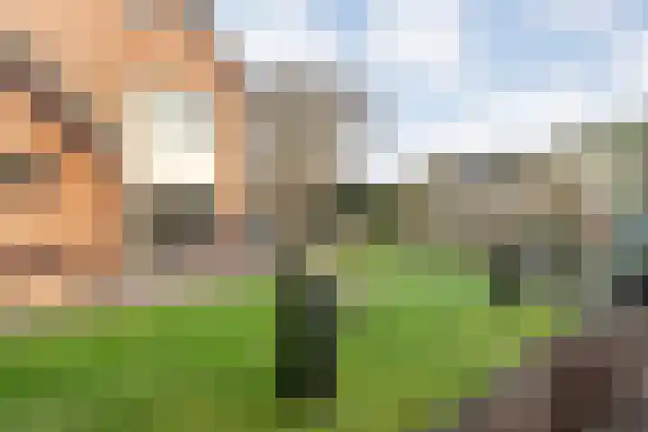 De Meerkoet 2 Dedemsvaart thumbnail 50