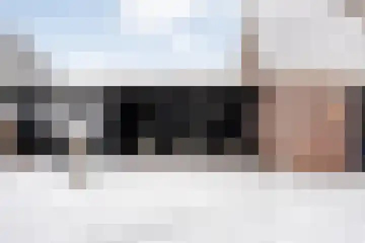 De Meerkoet 2 Dedemsvaart thumbnail 51