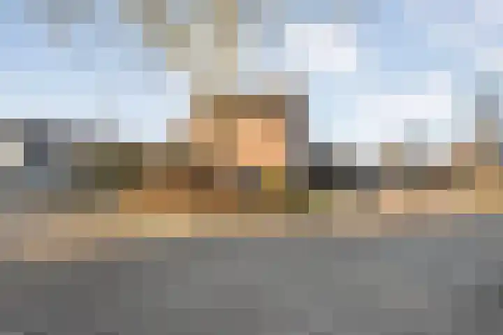 De Meerkoet 2 Dedemsvaart thumbnail 55