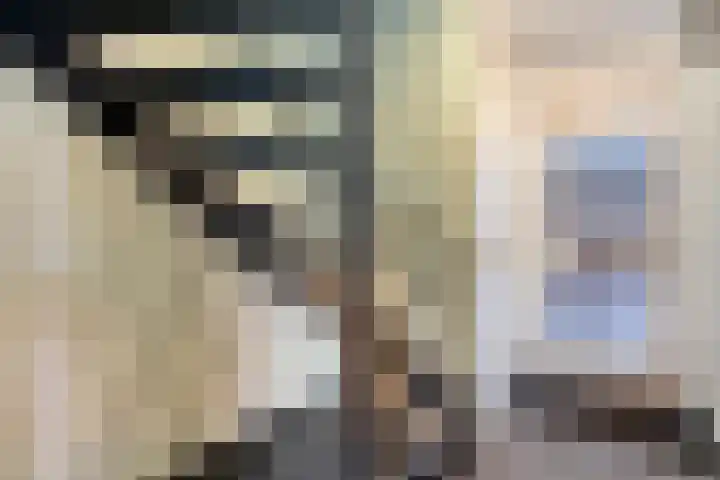 De Meerkoet 2 Dedemsvaart thumbnail 6