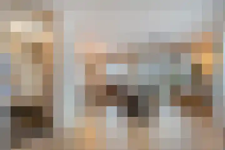 De Meerkoet 2 Dedemsvaart thumbnail 8