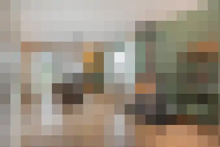 De Meerkoet 2 Dedemsvaart thumbnail 9
