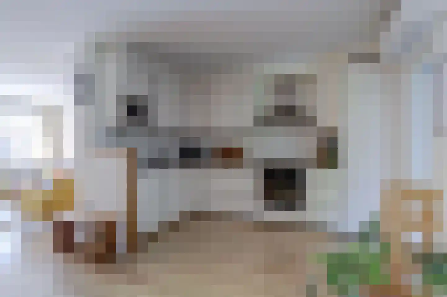 De Meerkoet 21 Vriezenveen thumbnail 12
