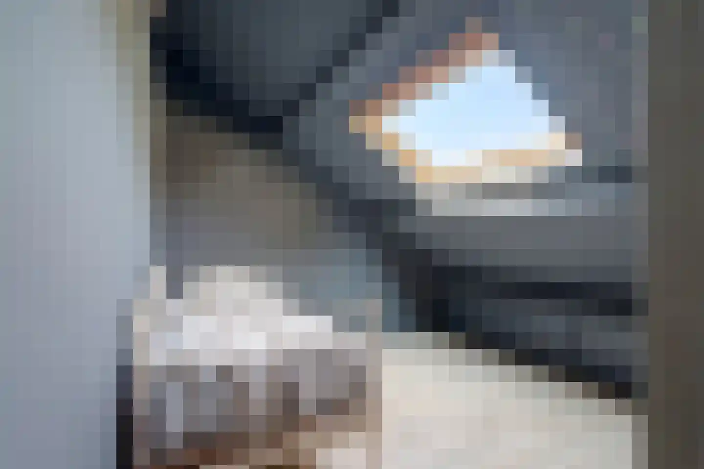 De Meerkoet 21 Vriezenveen thumbnail 30
