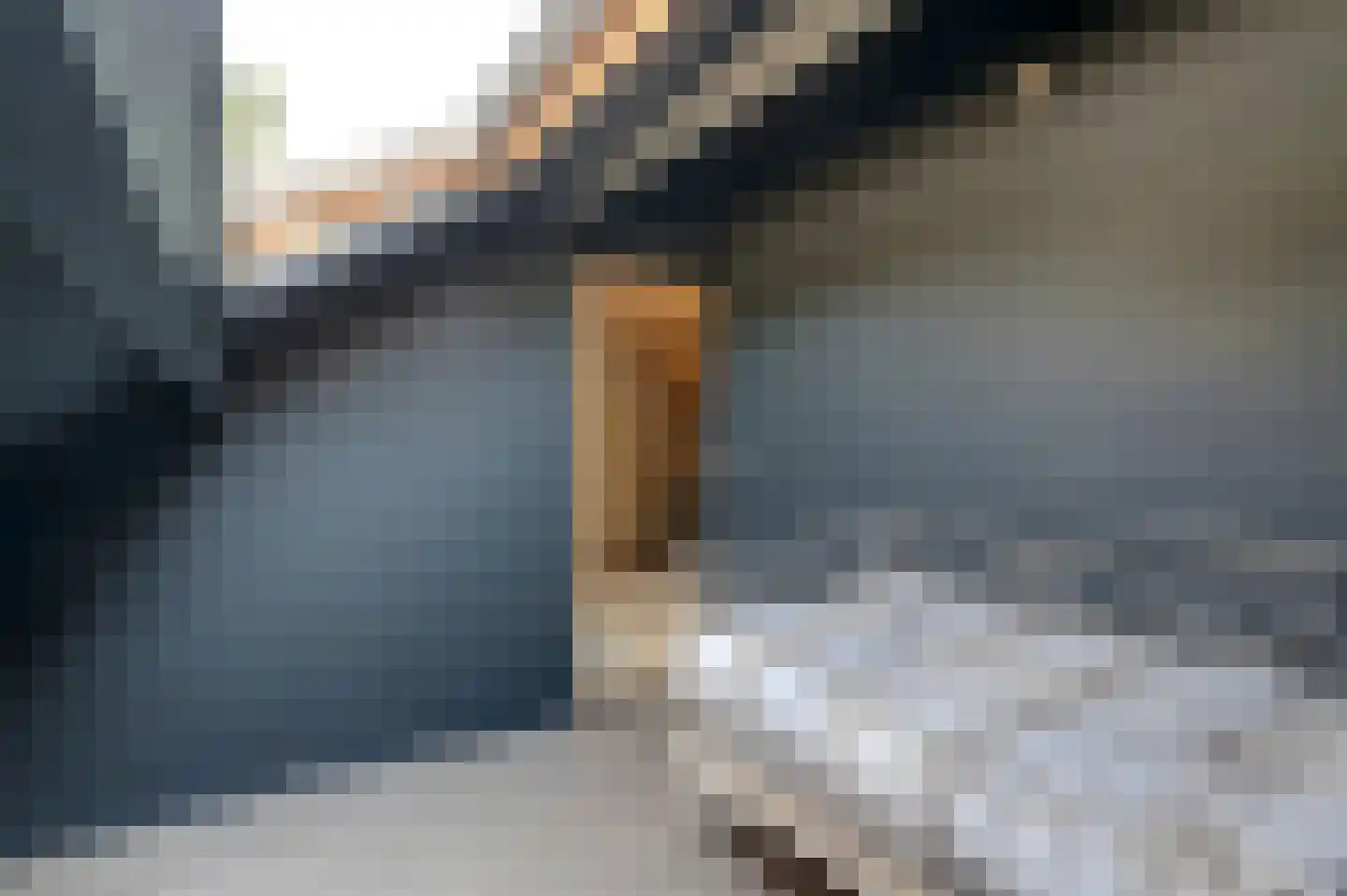 De Meerkoet 21 Vriezenveen thumbnail 31