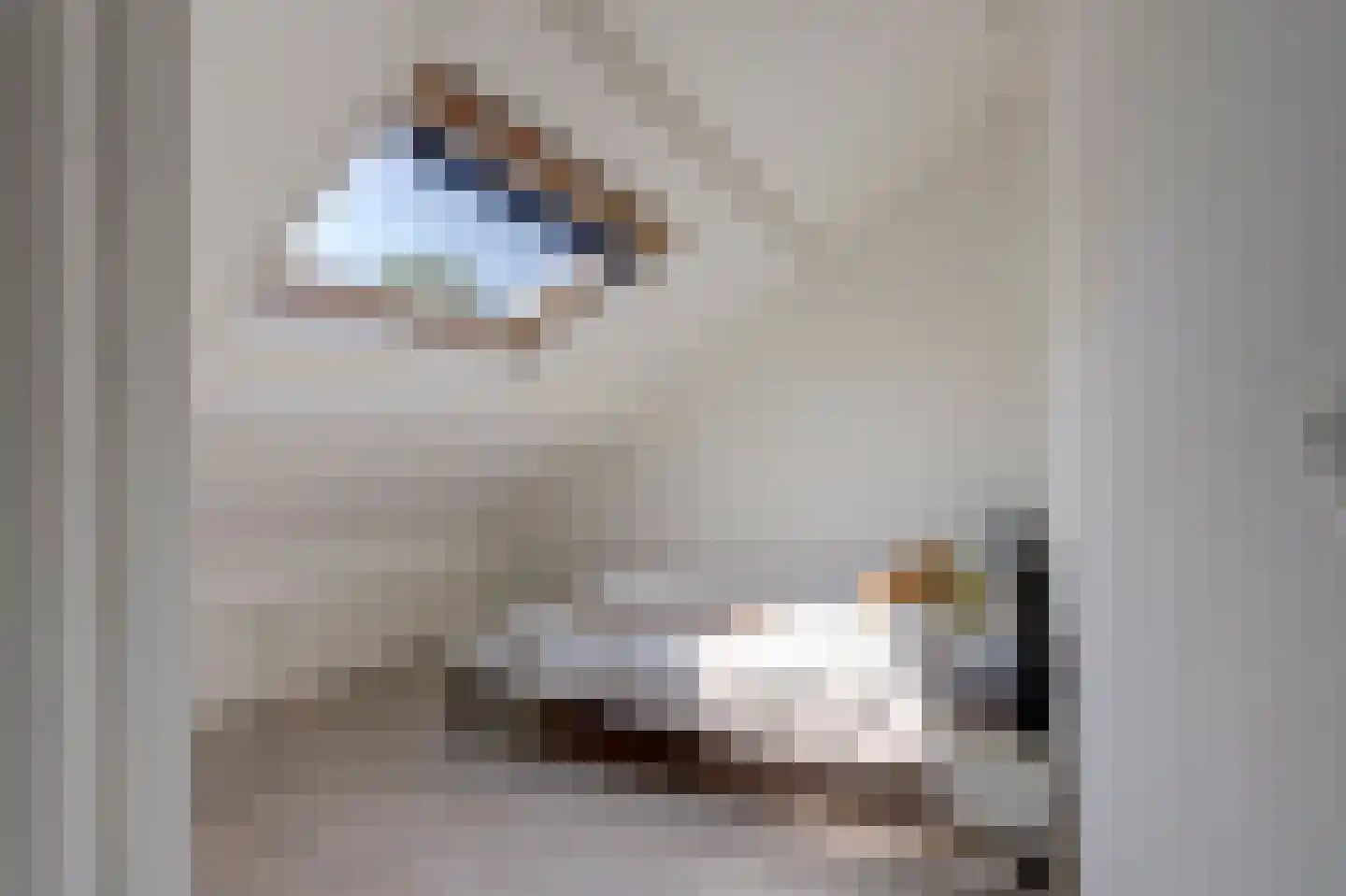 De Meerkoet 21 Vriezenveen thumbnail 32