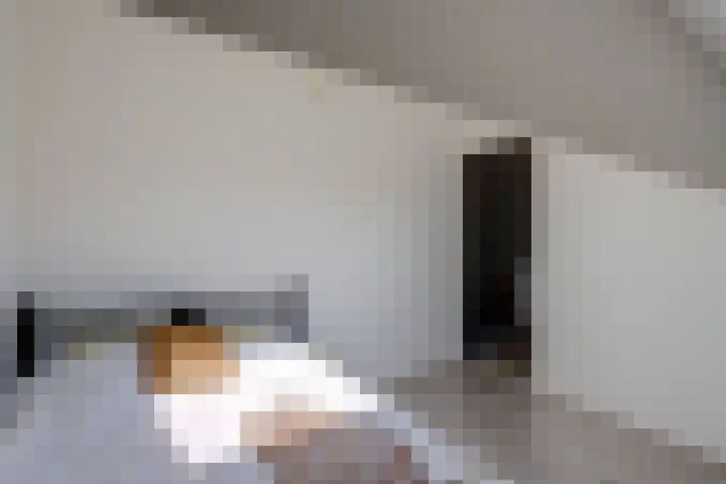 De Meerkoet 21 Vriezenveen thumbnail 33