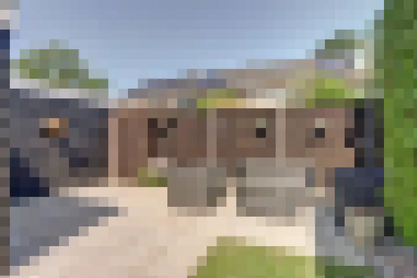 De Meerkoet 21 Vriezenveen thumbnail 35
