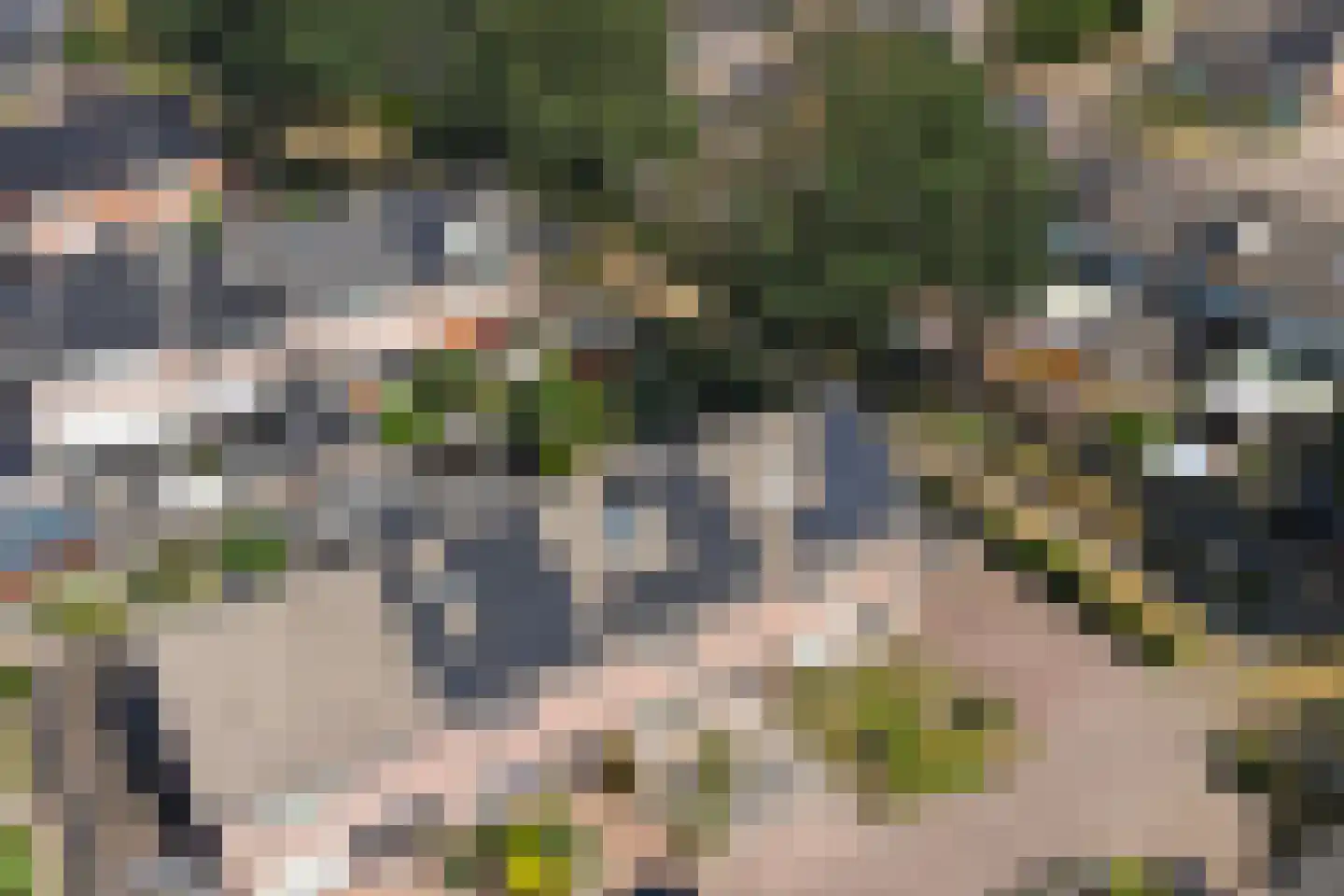 De Meerkoet 21 Vriezenveen thumbnail 41