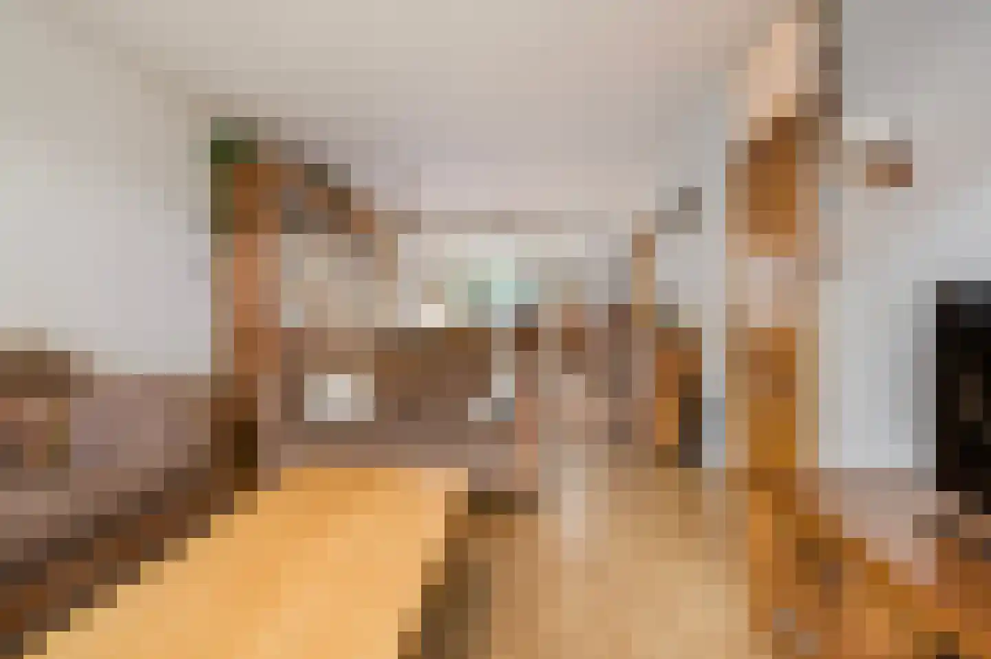 De Meerkoet 23 Vriezenveen thumbnail 10