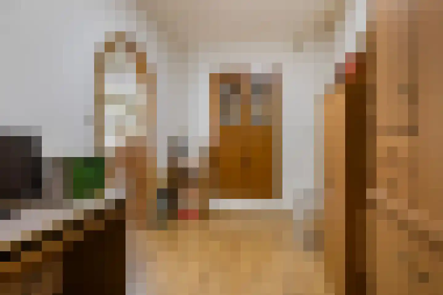 De Meerkoet 23 Vriezenveen thumbnail 15