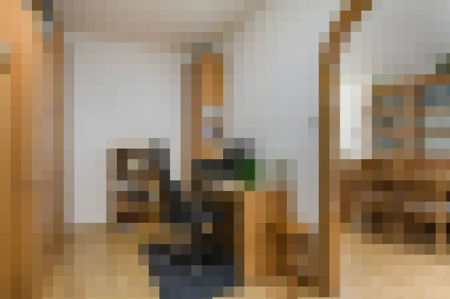 De Meerkoet 23 Vriezenveen thumbnail 16