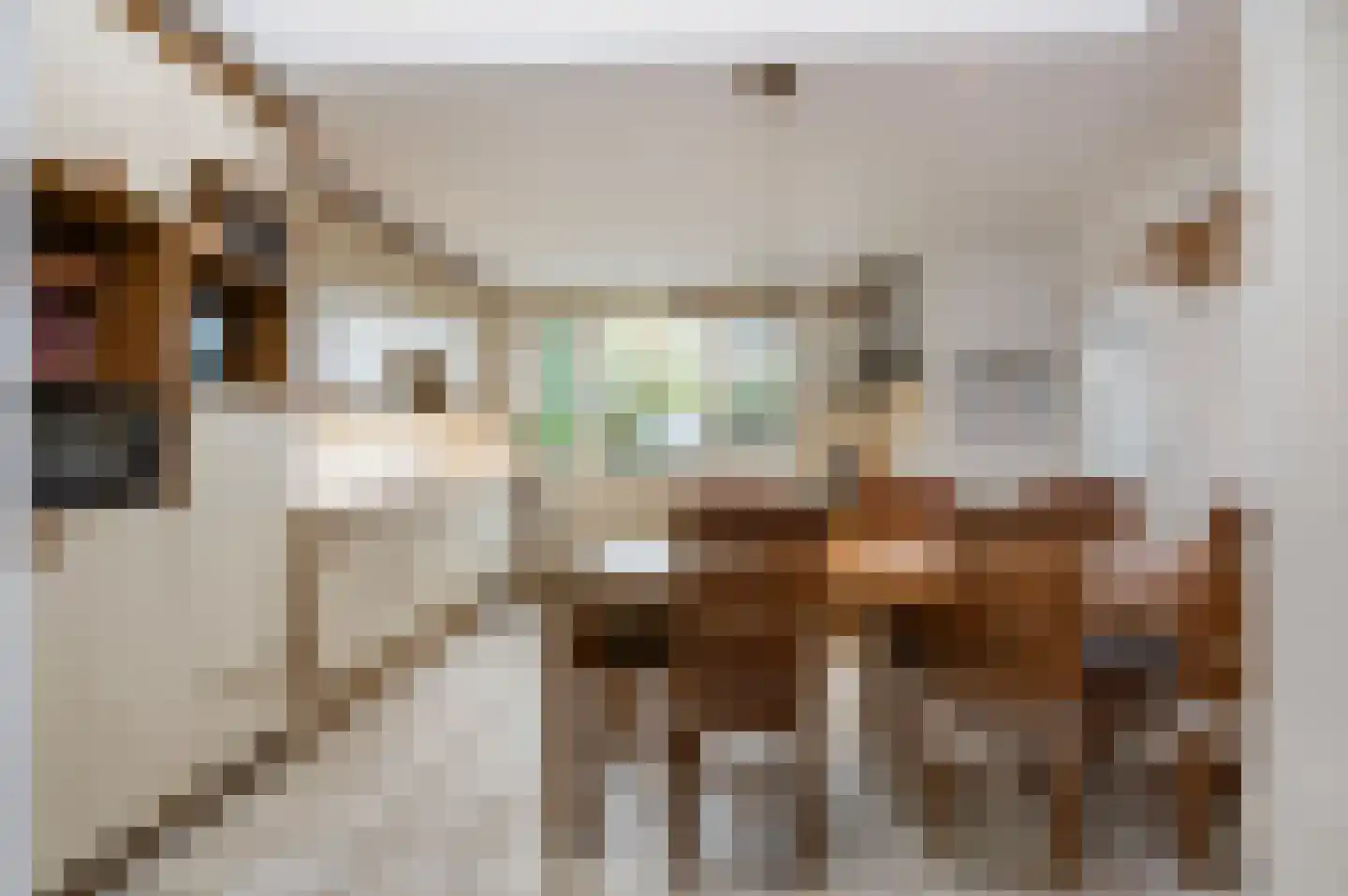 De Meerkoet 23 Vriezenveen thumbnail 18