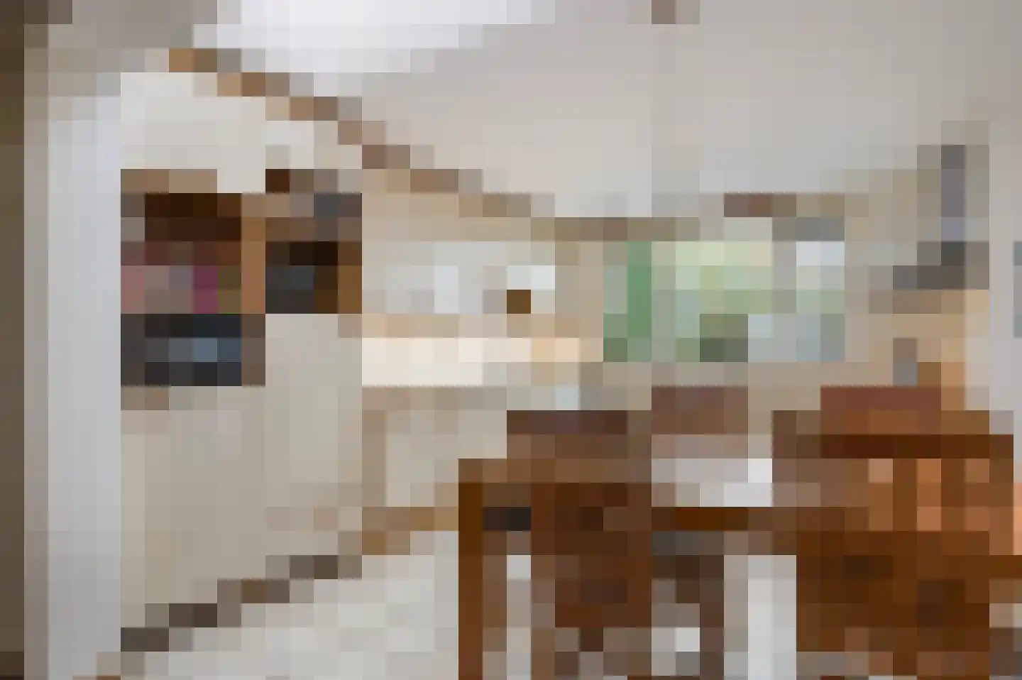 De Meerkoet 23 Vriezenveen thumbnail 19