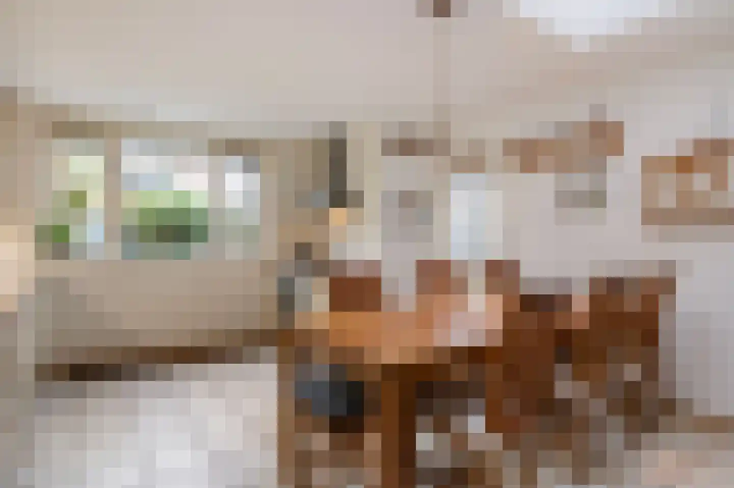 De Meerkoet 23 Vriezenveen thumbnail 20