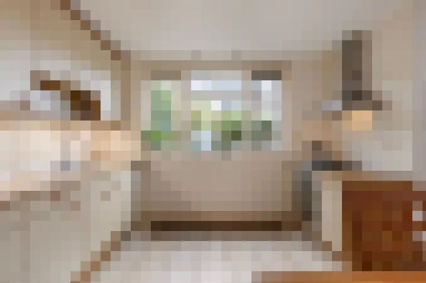 De Meerkoet 23 Vriezenveen thumbnail 21