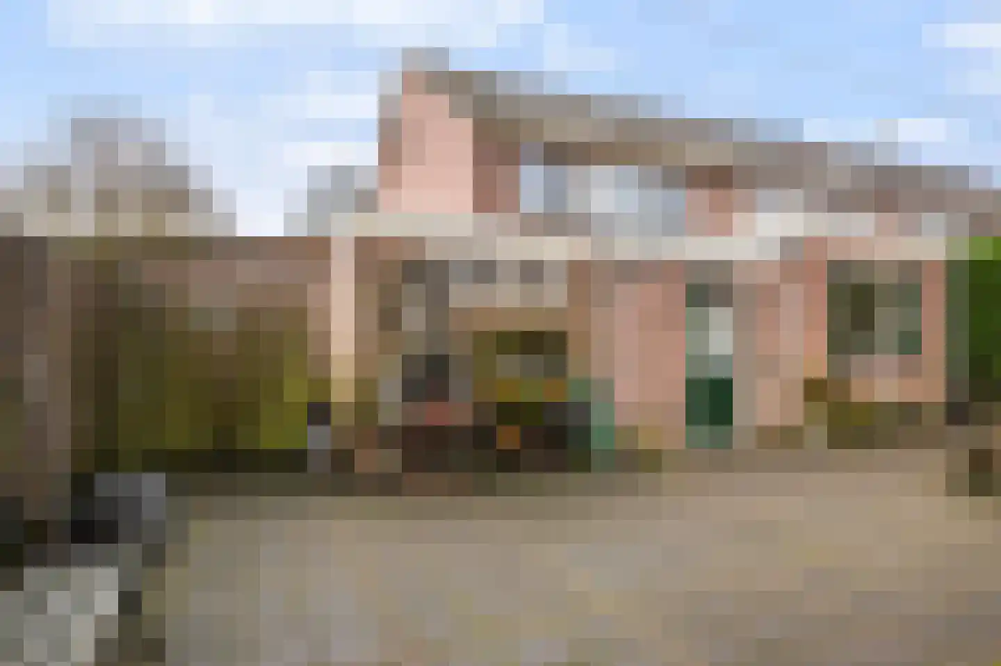 De Meerkoet 23 Vriezenveen foto 3