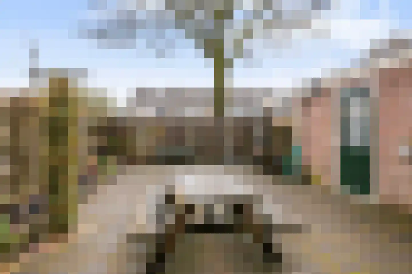De Meerkoet 23 Vriezenveen thumbnail 42