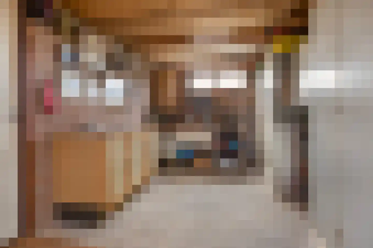 De Meerkoet 23 Vriezenveen thumbnail 43