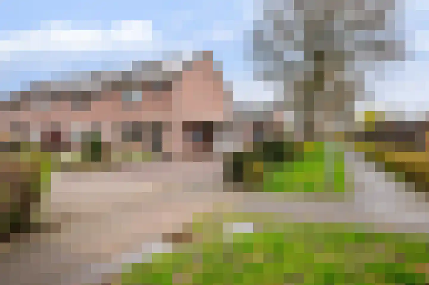 De Meerkoet 23 Vriezenveen thumbnail 44