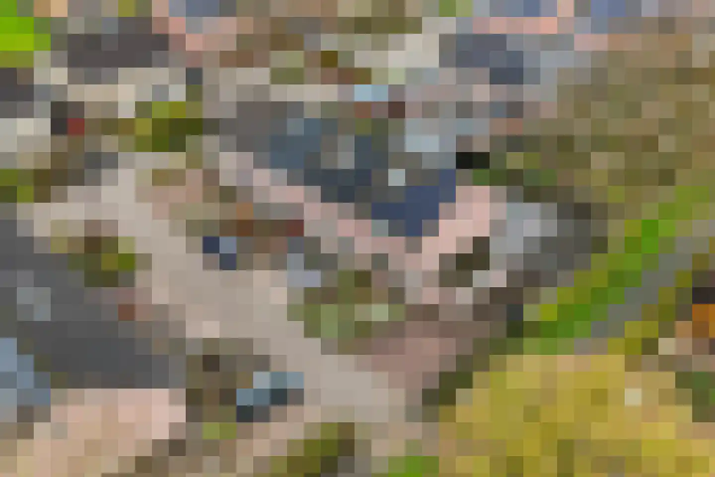De Meerkoet 23 Vriezenveen thumbnail 47